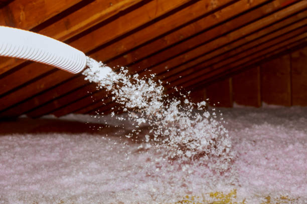 Best Geographic-Specific Insulation Services in Zephyrhills South, FL