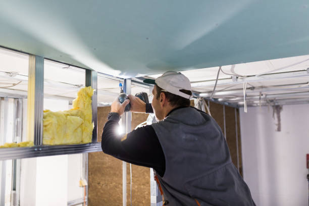 Best Insulation Maintenance and Repair in Zephyrhills South, FL