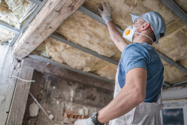 Trusted Zephyrhills South, FL Insulation Contractor Experts