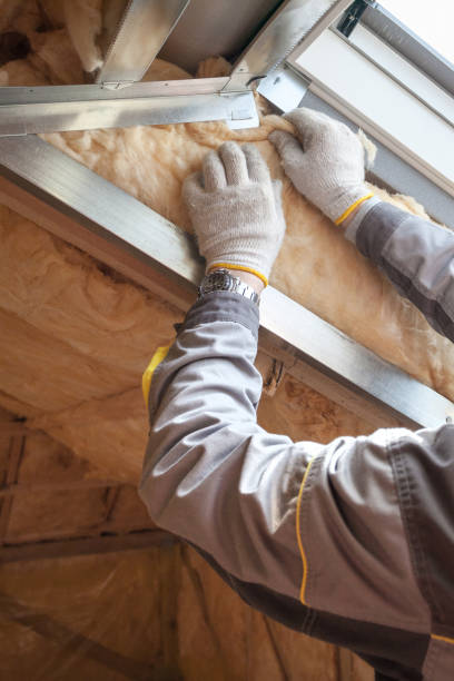 Types of Insulation We Offer in Zephyrhills South, FL