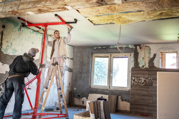 Best Blown-in Insulation in Zephyrhills South, FL