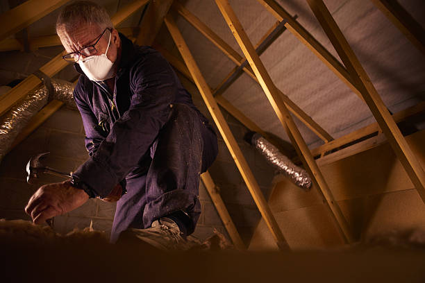 Best Insulation Maintenance and Repair in Zephyrhills South, FL
