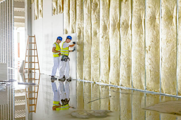 Best Blown-in Insulation in Zephyrhills South, FL